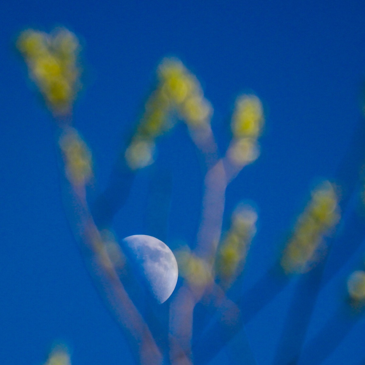 moon